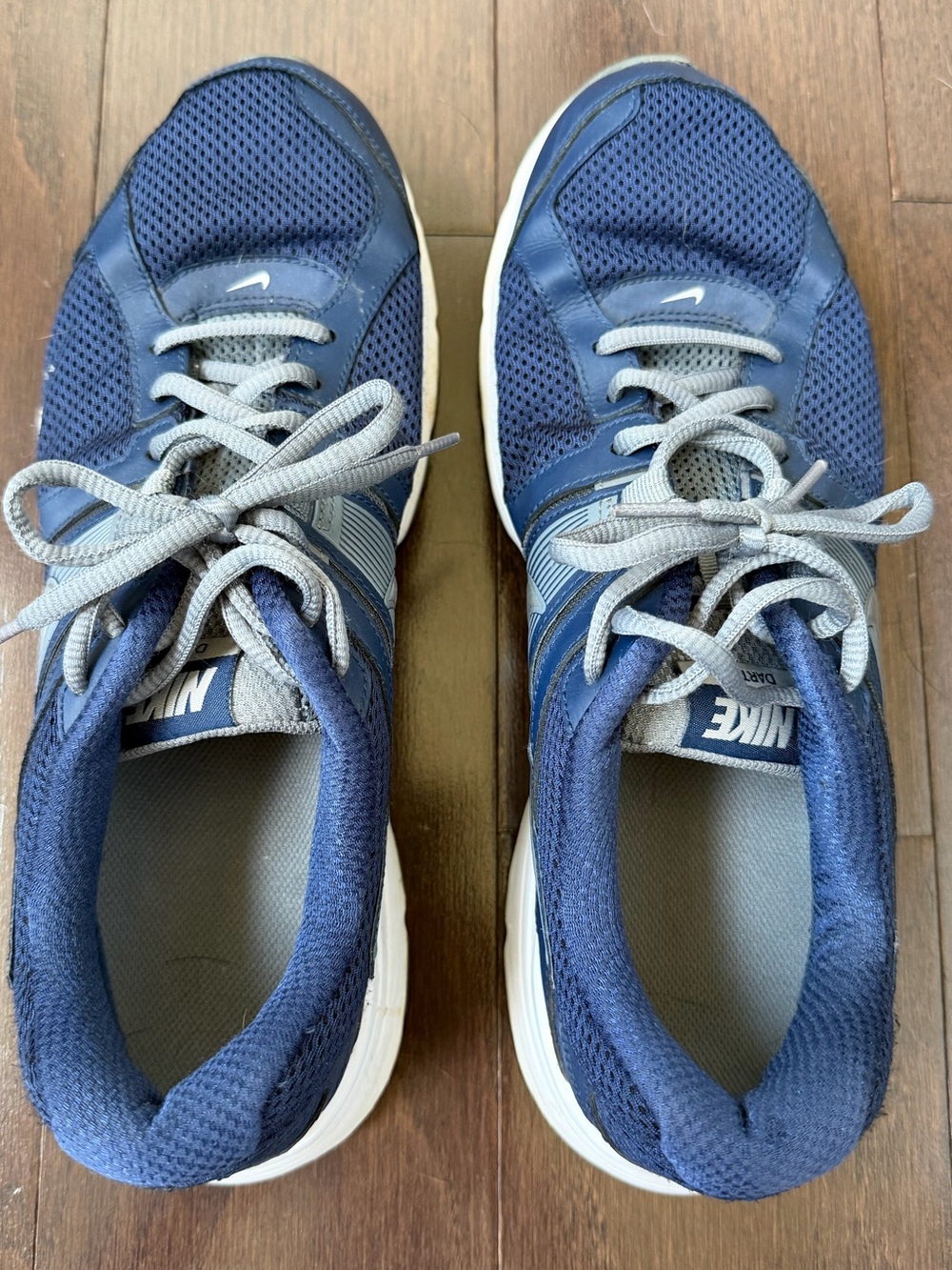 Nike Dart 10 Running Shoes